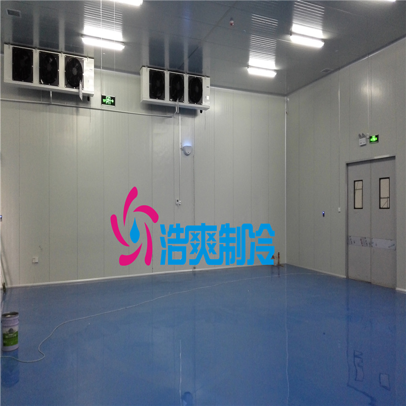 山東慧心醫(yī)療建設(shè)2~8℃溫智能自動(dòng)冷庫(kù)項(xiàng)目工程案例 山東慧心醫(yī)療建設(shè)2~8℃溫智能自動(dòng)冷庫(kù)項(xiàng)目工程案例