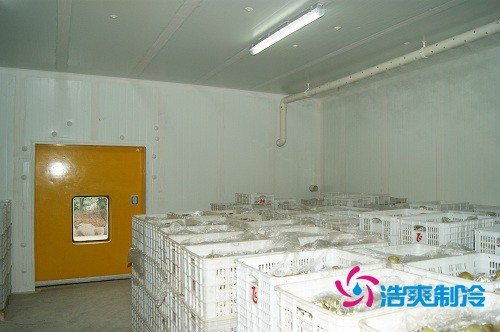 圖示：浩爽制冷為蜜之源果業建造的柑橘氣調冷庫