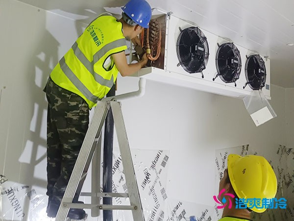 建造一個300平方米的冷凍庫造價需要多少資金投入呢？