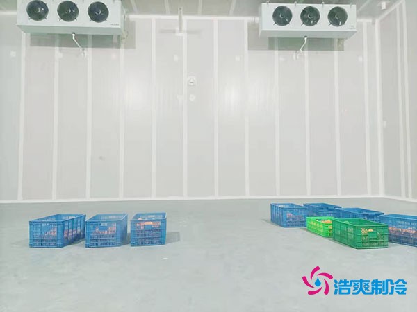 200噸蔬菜保鮮冷庫造價多少錢?需要多大面積?