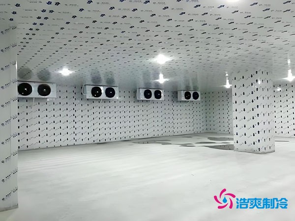 100平米冷凍庫安裝費用及造價多少錢?
