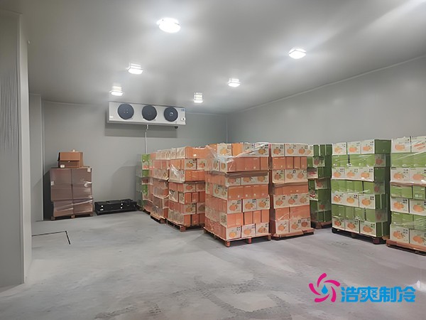 1000噸果蔬保鮮庫造價揭秘，節(jié)省成本就靠這幾點！