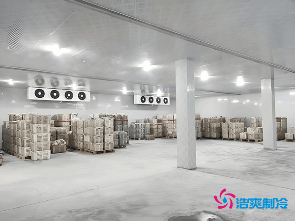 零下35℃制冰！建一個冷庫到底要花多少錢？