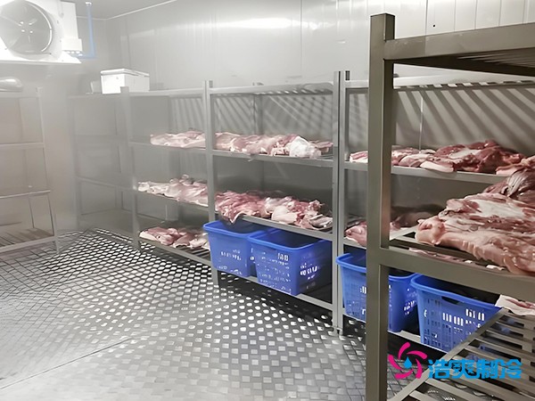 100噸凍肉冷庫造價預算概覽與設計建造方案