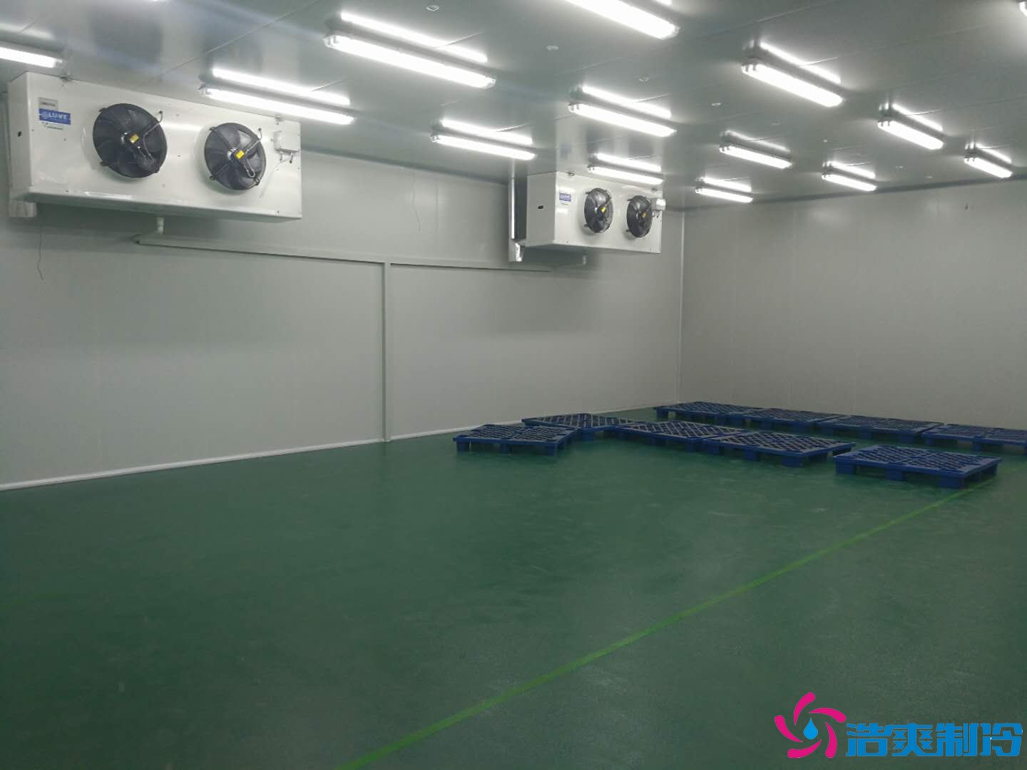 沈陽三生制藥3000平米低溫(冷凍、冷藏)醫(yī)藥物流冷庫工程案例