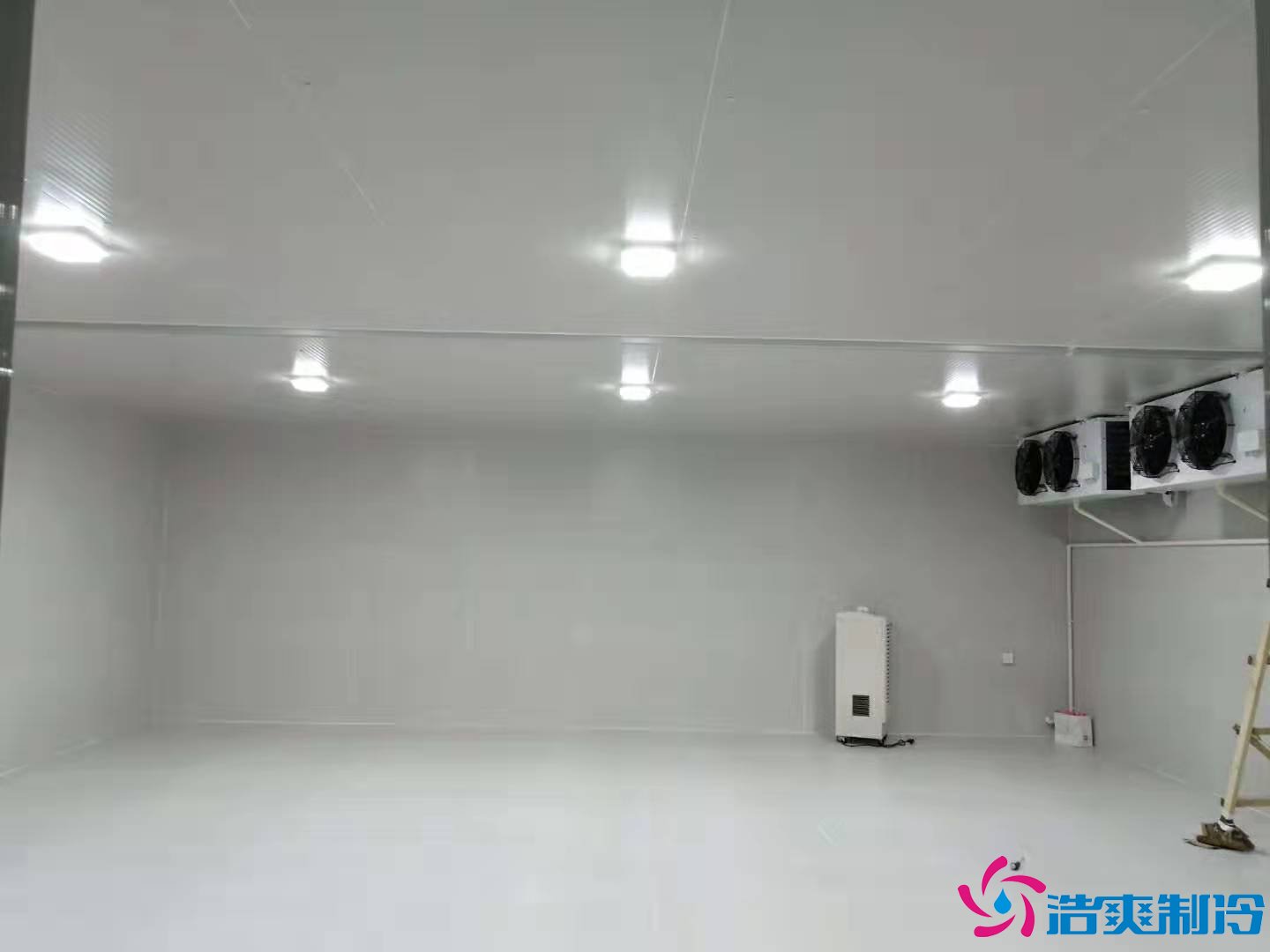 上海基因生物1000m3生物制品冷庫(冷凍、冷藏)新建工程案例