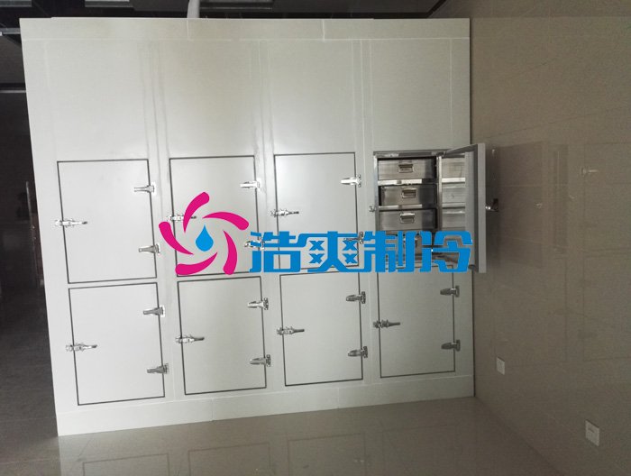 浩爽制冷,后補式疫苗冷庫